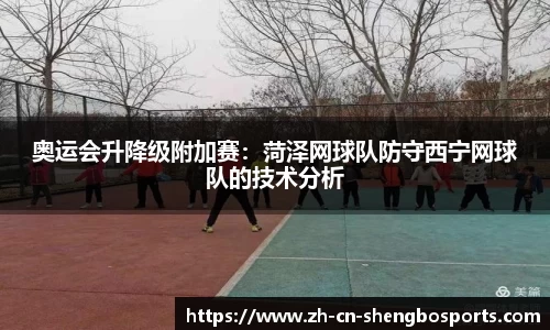 奥运会升降级附加赛:菏泽网球队防守西宁网球队的技术分析